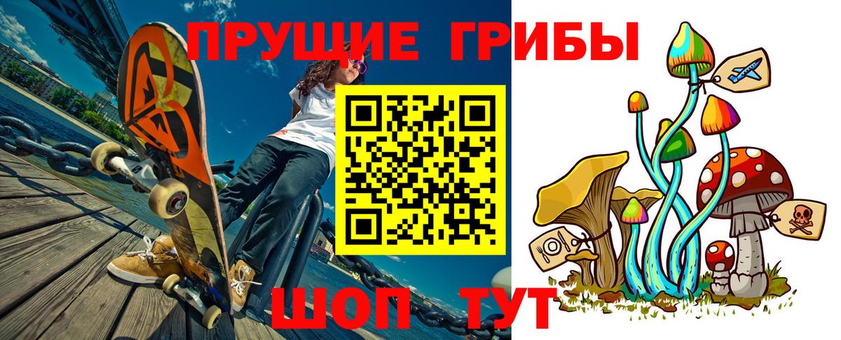 Новочебоксарск  Галлюциногенные грибы Psilocybine cubensis  Вход с VPN 
