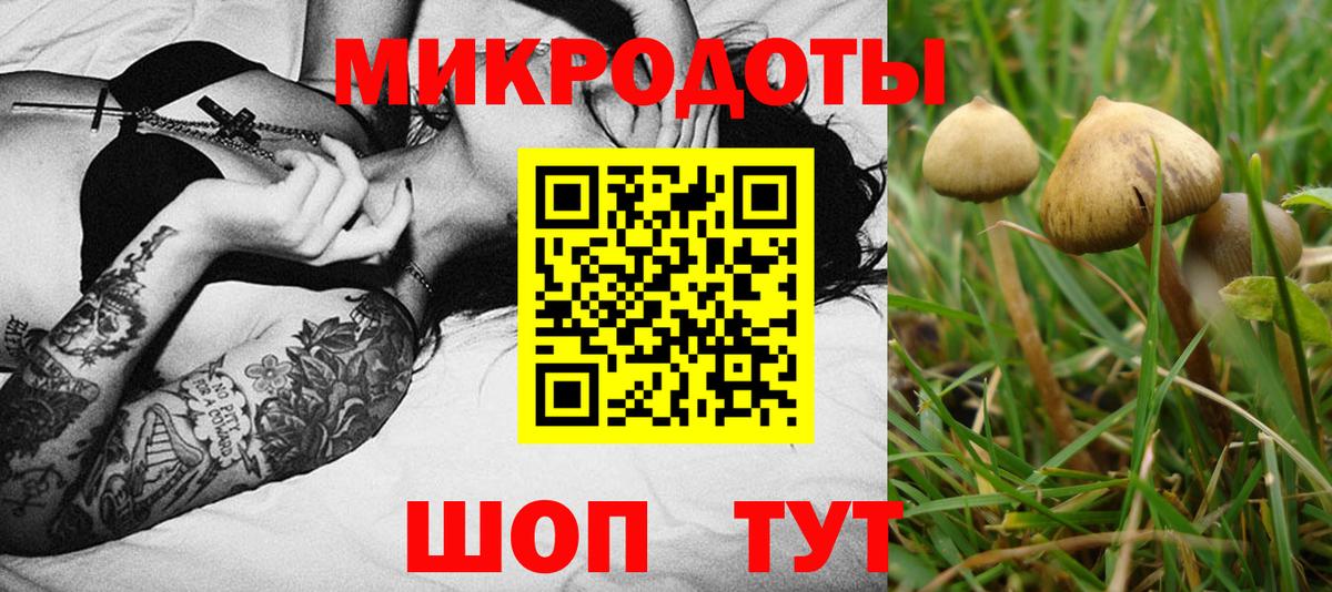 Псилоцибиновые грибы прущие грибы Новочебоксарск