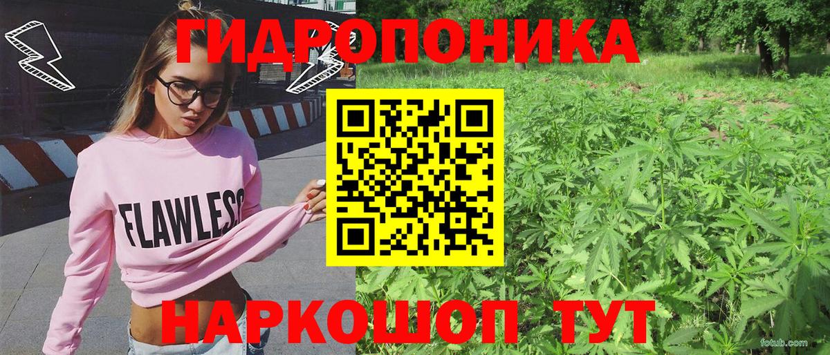 Бошки Шишки гибрид  Вход с VPN  Марихуана SATIVA & INDICA  МАРИХУАНА индика  Новочебоксарск 